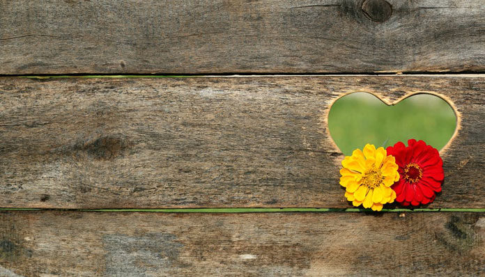 postcard-heart-flowers-board-158635