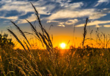 Ljetni solsticij 21.6. u 10:24h – Najduži dan i najkraća noć godine