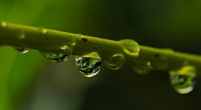 drop-of-water-2396748_960_720