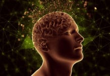 Kineska medicina: Problem s plućima – od tuge, tegobe s bubrezima – od straha!