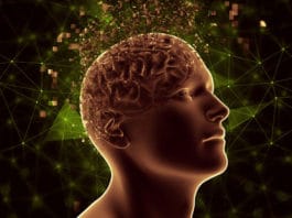 Kineska medicina: Problem s plućima – od tuge, tegobe s bubrezima – od straha!