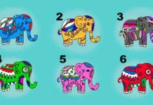 SLONIĆ koji nosi sreću: Vaš omiljeni slon ima savjet za Vas – otkrijte koji!