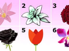 TEST: Odaberite najprivlačniji cvijet – Saznat ćete zapanjujuću tajnu svog karaktera!