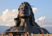 Duga kosa – antena šestog čula!