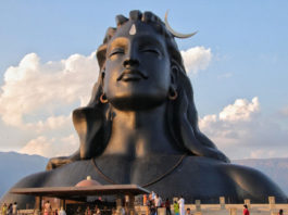 Duga kosa – antena šestog čula!