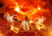 Potpuno znanje o evoluciji