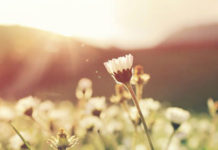 U životu treba brinuti samo o dvije stvari!