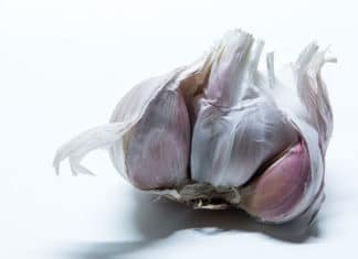Nema boljeg lijeka od prirodnog: Što sve možemo liječiti češnjakom?