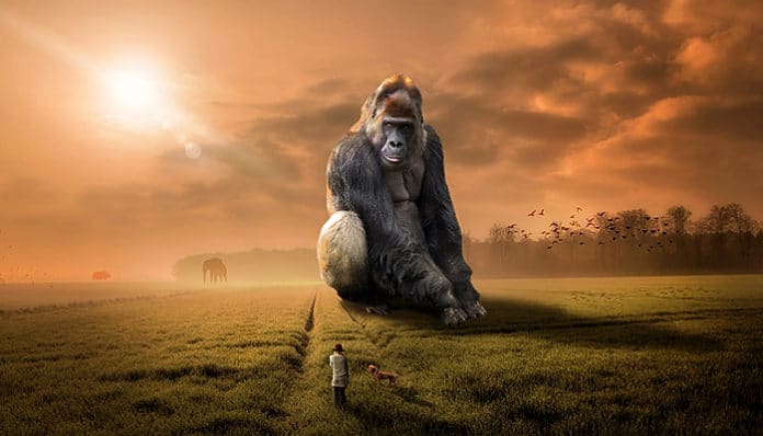 animal-3346192_960_720