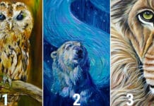 Odaberite životinju i primite poruku za svoju dušu!