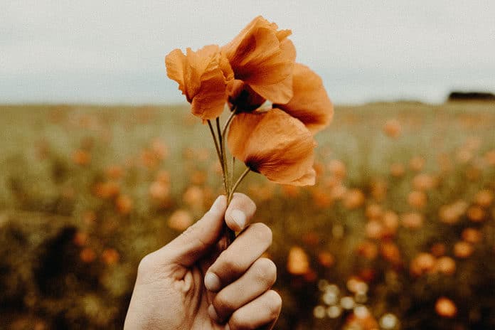 flavio-gasperini-710794-unsplash