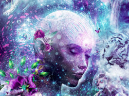 Maske padaju: Doba narcizma završava!