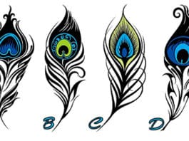 TEST: Vaše omiljeno paunovo pero otkriva na što odmah trebate obratiti pažnju u životu!