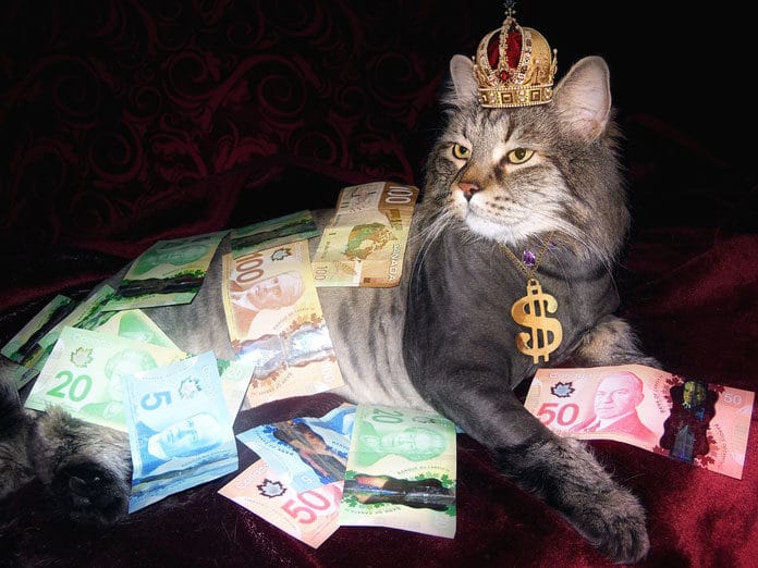 Cat-Money-Naked-Man-Canadian-Money-Wealth-1144553