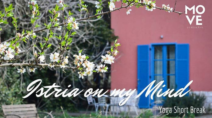 istria-on-my-mind