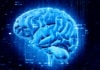 Regeneracija mozga je moguća!
