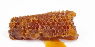 Propolis ubija sve što smeta zdravom organizmu: Narodni recept za čak 11 bolesti!