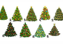 TEST: Odaberite najprivlačniju jelku i saznajte kakva godina vas očekuje!