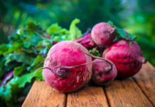 KVAS od cikle – najbolji stari ruski recept protiv svih bolesti: Obnavlja tijelo i nakon teške terapije!