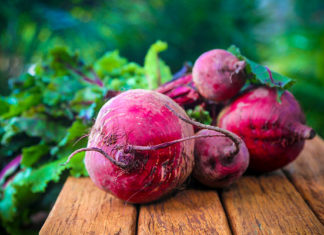 KVAS od cikle – najbolji stari ruski recept protiv svih bolesti: Obnavlja tijelo i nakon teške terapije!