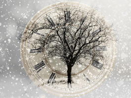 Zimski solsticij 21.12. – Vrijeme da zastanete i vidite veću sliku!