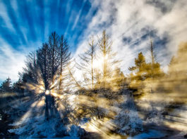 DANAS JE ZIMSKI SOLSTICIJ – Dan koji ima snažno duhovno značenje i posebnu energiju!