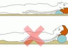 Nishi sistem – Šest japanskih vježbi za dug život, mladolikost i savršeno zdravlje