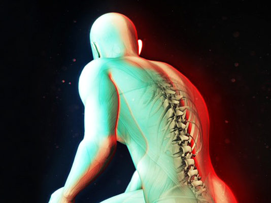 Kad je srce ugroženo, boli 7. pršljen: Ovako su svi organi povezani s kičmom!