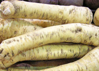 Pomiješajte hren i ocat i pričekajte 5 dana: OVO će vas spasiti od bolova u sinusima i glavi!