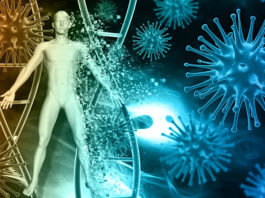 Pobijedio teški oblik raka s ovim receptom – Antikancerogena salata