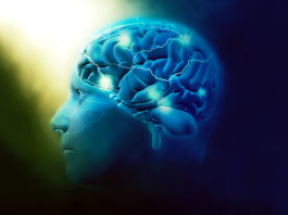 Početak destruktivnog kaosa: Jedan od prvih znakova starenja mozga kojeg ne smijete zanemariti