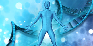 Tijelo se mora očistiti od toksina – Dijeta za čišćenje indijanaca plemena Seneka