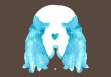 Ljubimac kojeg ste prvo ugledali otkrit će nešto vrlo zanimljivo o vama!