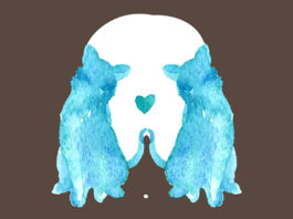 Ljubimac kojeg ste prvo ugledali otkrit će nešto vrlo zanimljivo o vama!