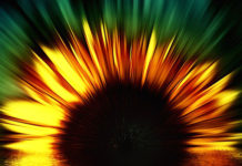 Zbog ove 3 stvari, energija novca će se “lijepiti” na vaš dom!