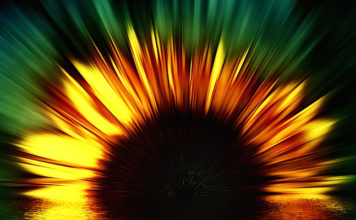 Zbog ove 3 stvari, energija novca će se “lijepiti” na vaš dom!