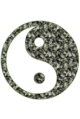 yin and yang 1494542 960 720