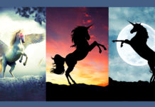 TEST: Odaberite JEDNOROGA koji vas najviše privlači i otkrijte duhovnu poruku za nadolazeći period!