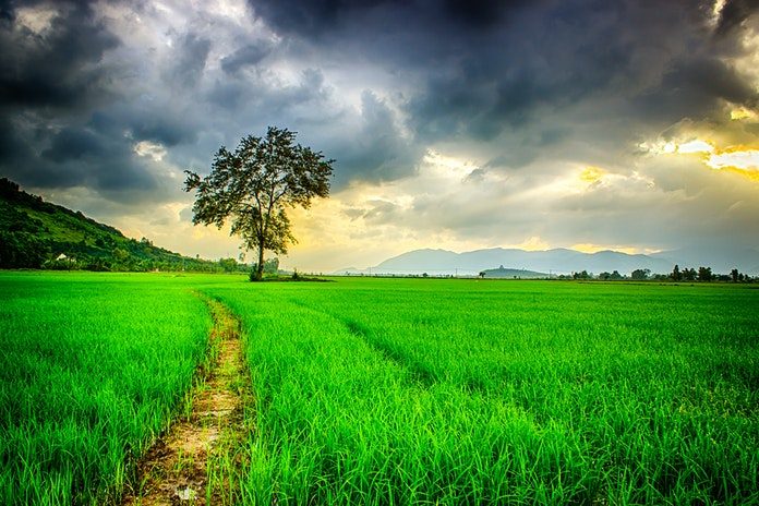 clouds-cloudy-farm-236047