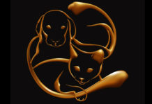 Mačke i psi su prirodni empati: Apsorbiraju negativne energije i štite vlasnika od bolesti i depresije!