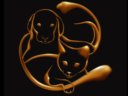 Mačke i psi su prirodni empati: Apsorbiraju negativne energije i štite vlasnika od bolesti i depresije!