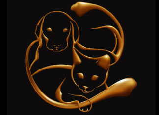 Mačke i psi su prirodni empati: Apsorbiraju negativne energije i štite vlasnika od bolesti i depresije!