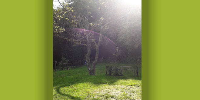 reiki-2--granice