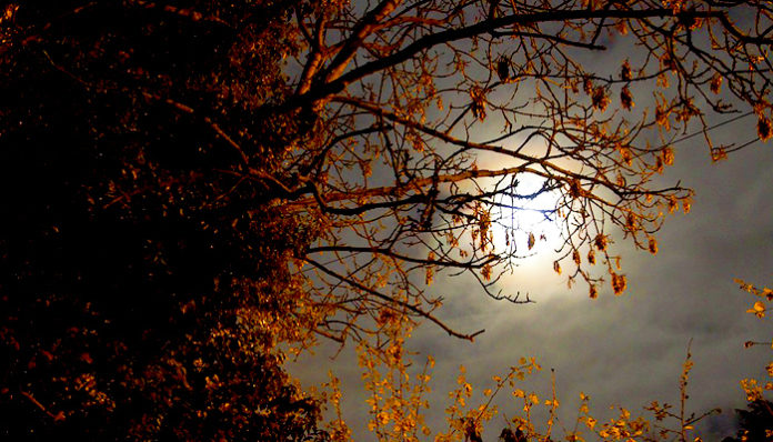 super-moon-1827567_960_720