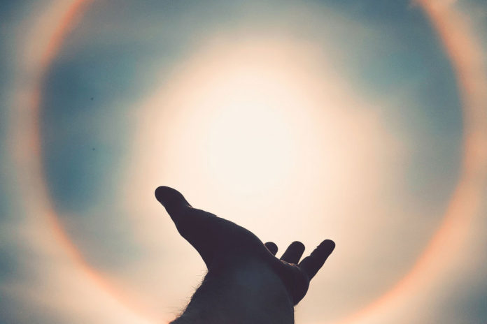 left-human-hand-photo-3025562