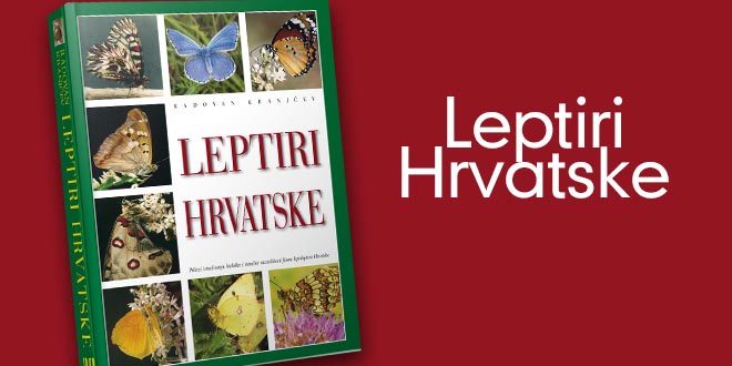 leptiri-hrvatske