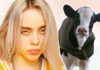 Grammy rekorderka Billie Eilish moli 26 milijuna obožavatelja da budu “pametniji” i prestanu jesti životinje!