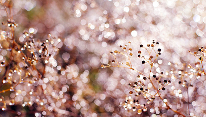 nature-2060511_960_720