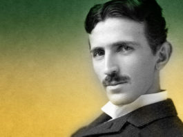Tesla je odavno upozoravao: “Klanje životinja destruktivno utječe na ljudski moral!”