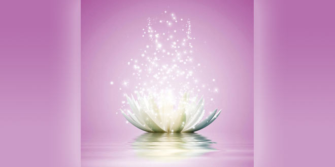 Magnified-Healing-ELYA